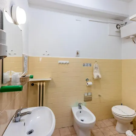 Oasi